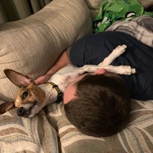 Meet your Posher, Tyler